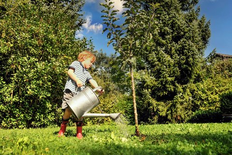 Junge gießt einen Baum im Garten mit einer Gießkanne 